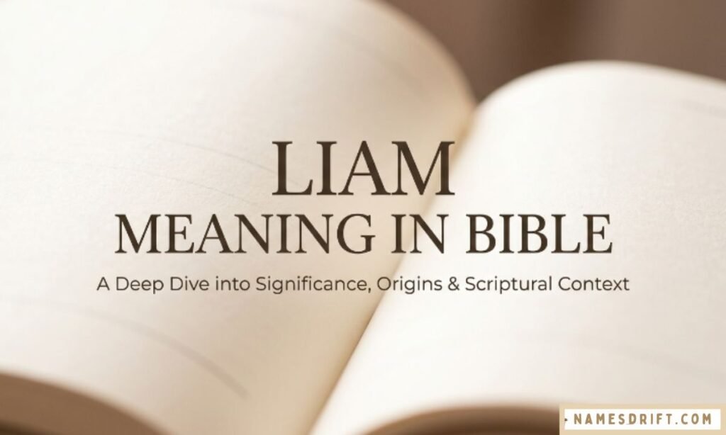 Liam meaning in Bible elegant banner image.