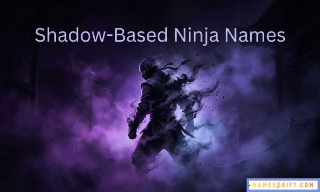 Dark shadow ninja with purple smoky stealth background