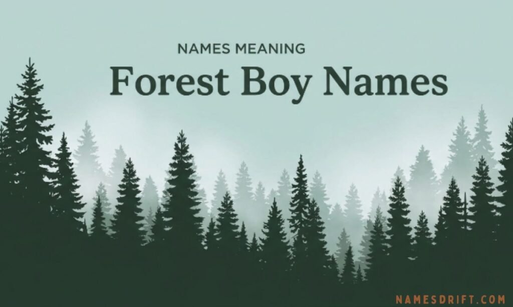 Forest-inspired boy names image with evergreen woodland background.
