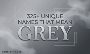 Minimal featured image for names that mean grey guide with bold grey typography