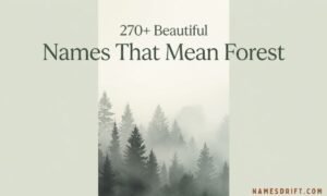 Beautiful Names That Mean Forest nature-inspired featured image with misty pine forest.